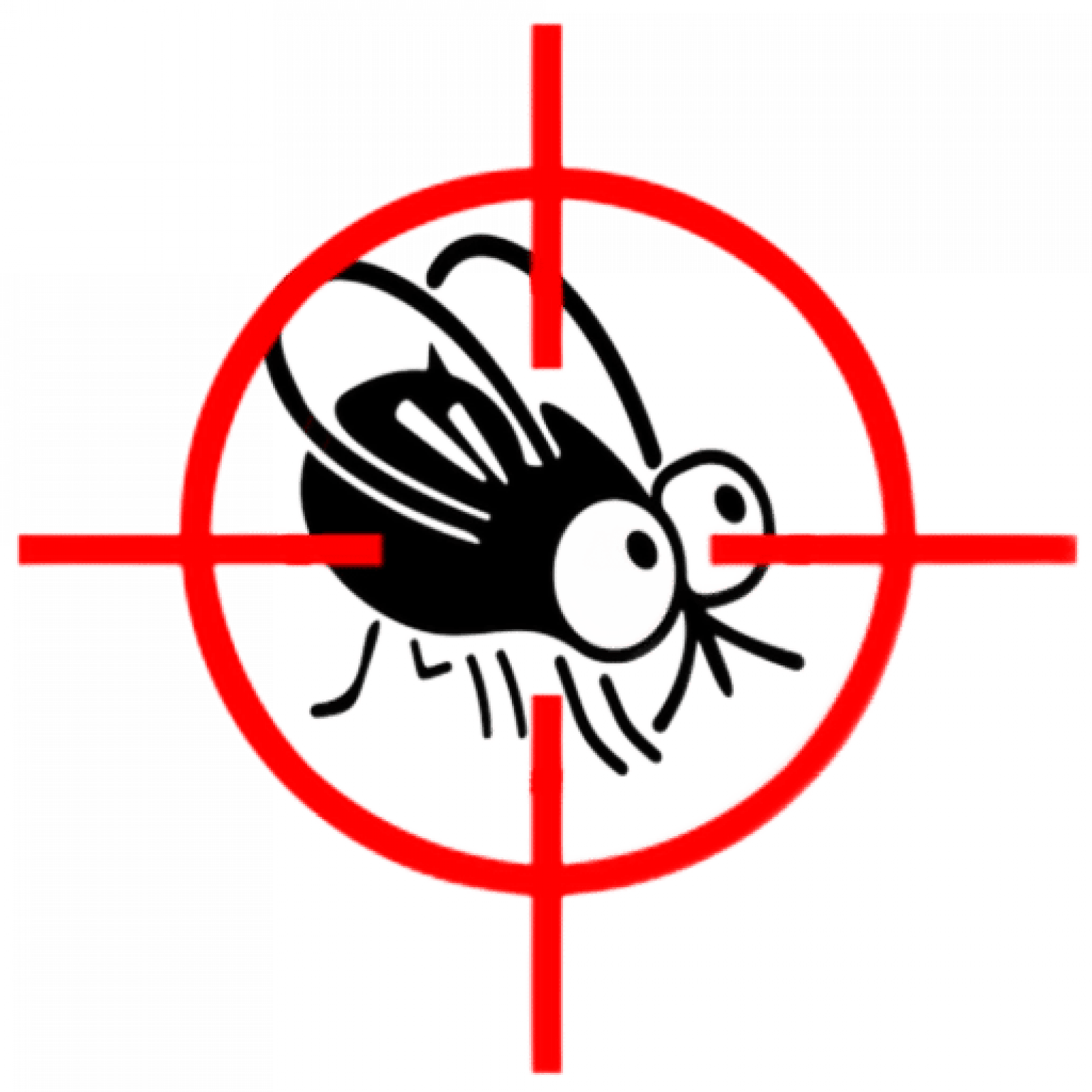 Уничтожение мух в Санкт-Петербурге