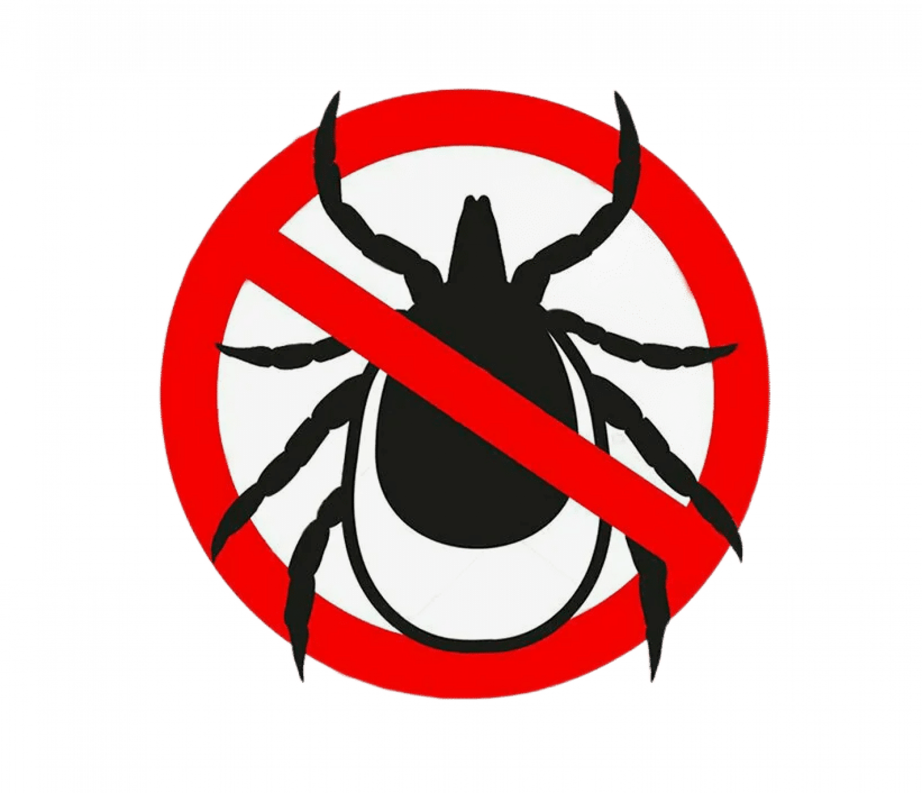 Уничтожение клещей в Санкт-Петербурге