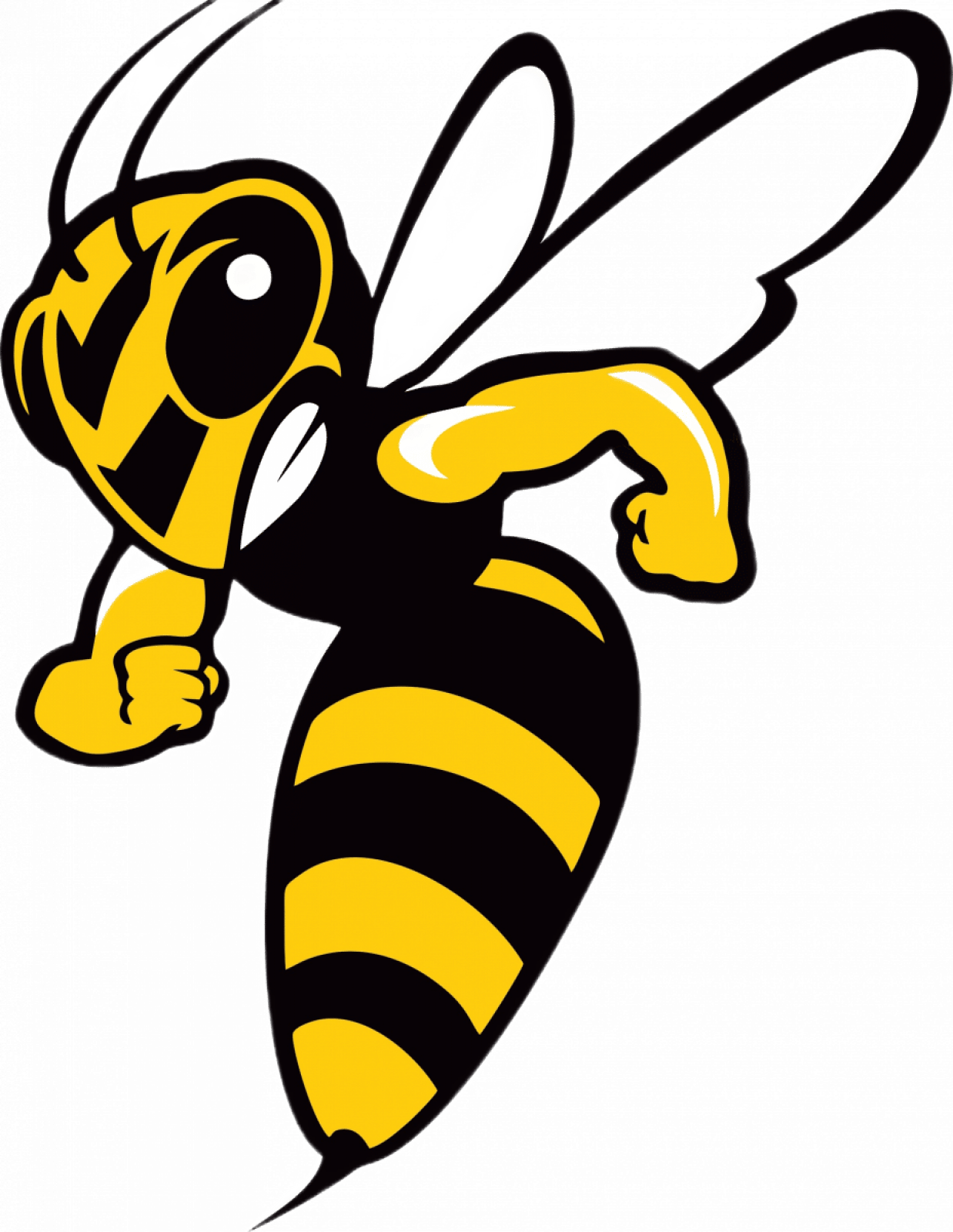 Уничтожение ос в Санкт-Петербурге