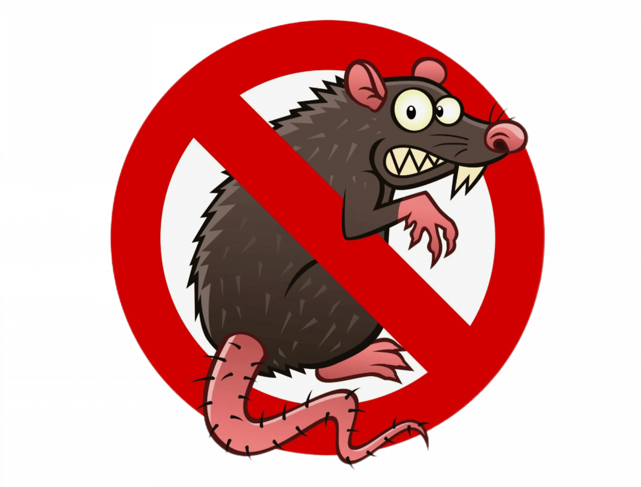 Уничтожение крыс и мышей в Москве