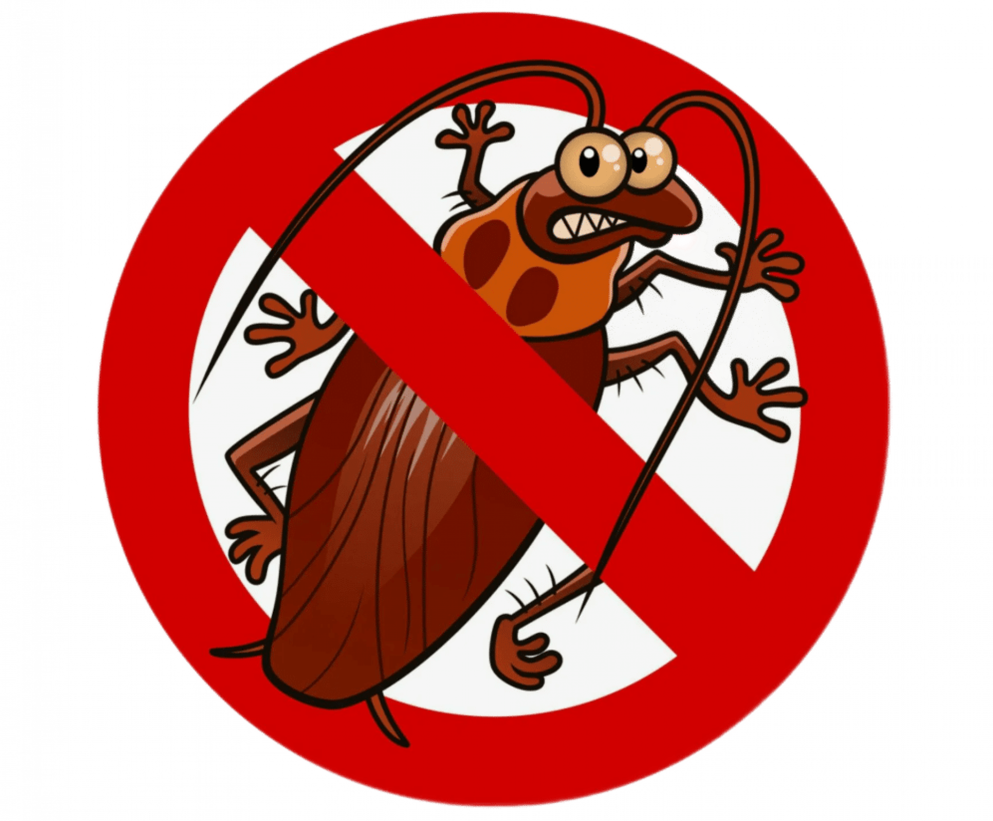 Уничтожение тараканов в Москве