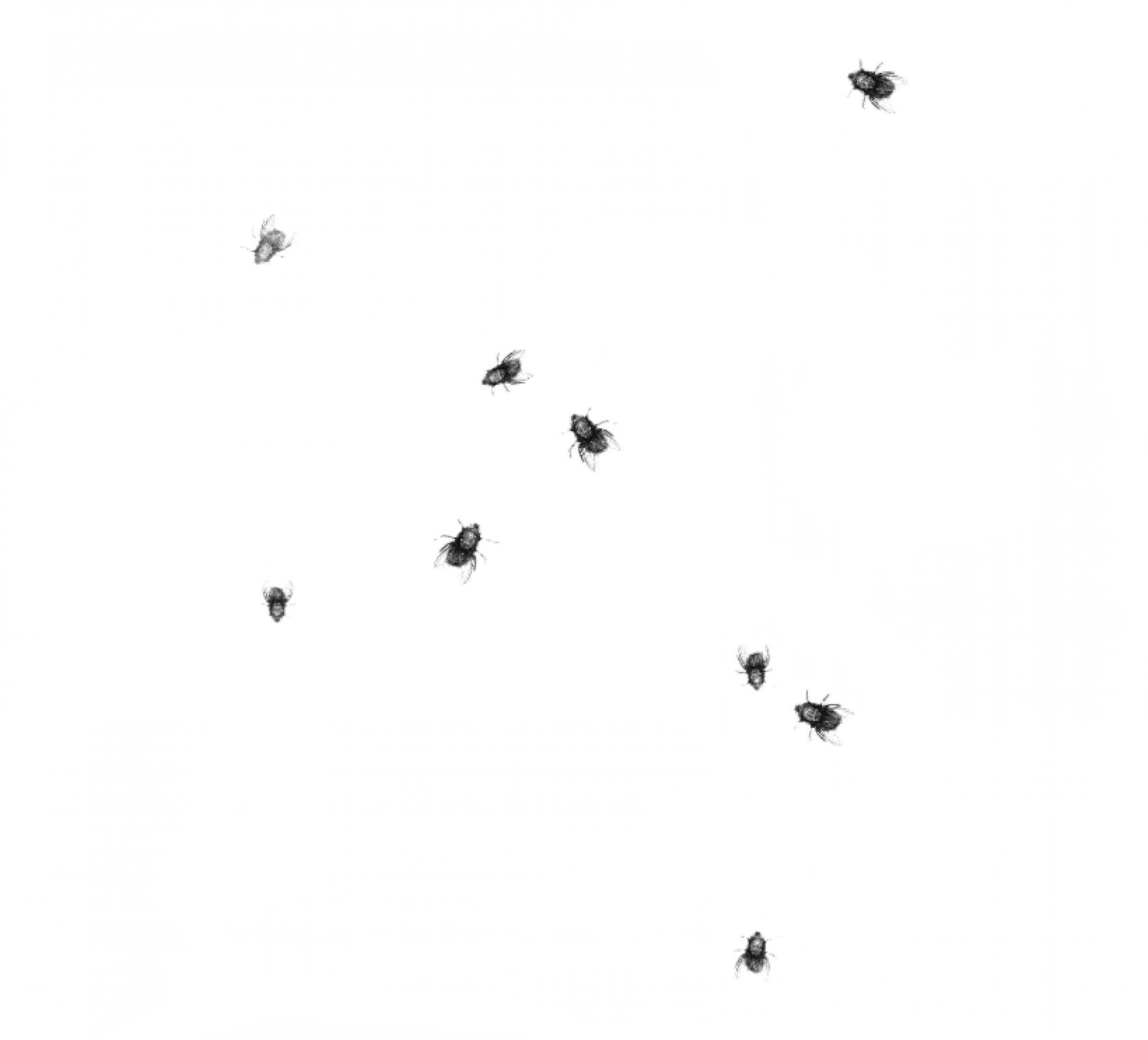 Уничтожение мошек в Москве