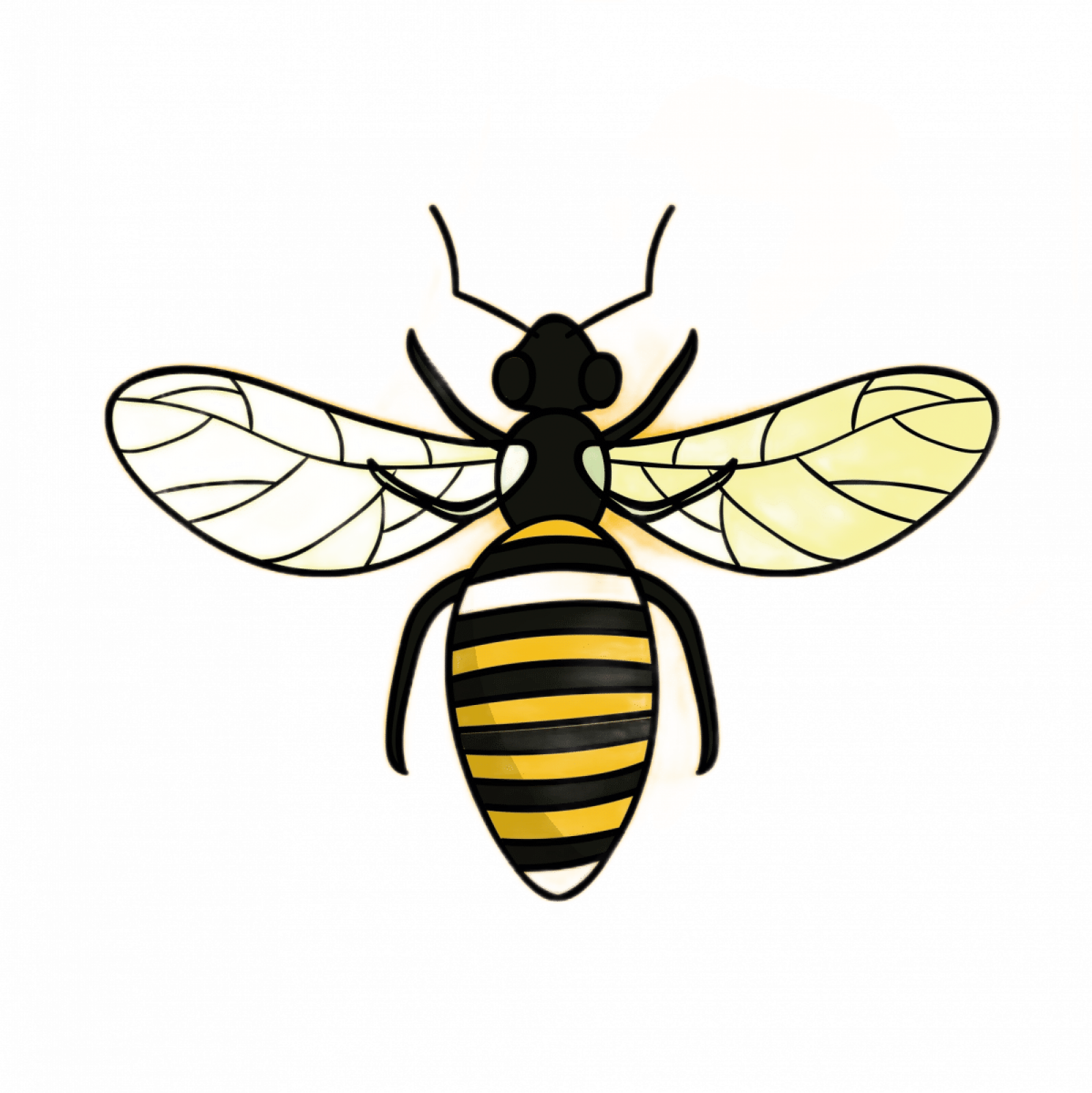 Уничтожение пчел в Санкт-Петербурге