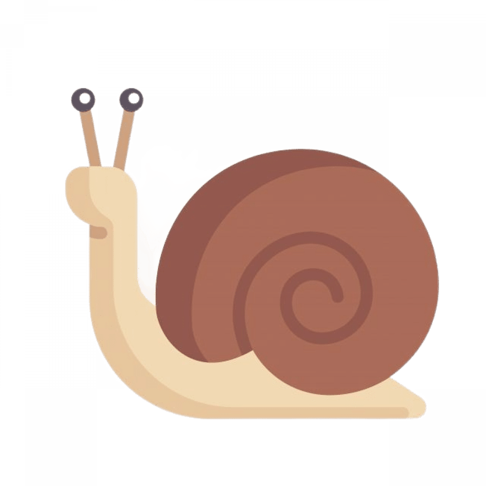 Уничтожение улиток в Санкт-Петербурге