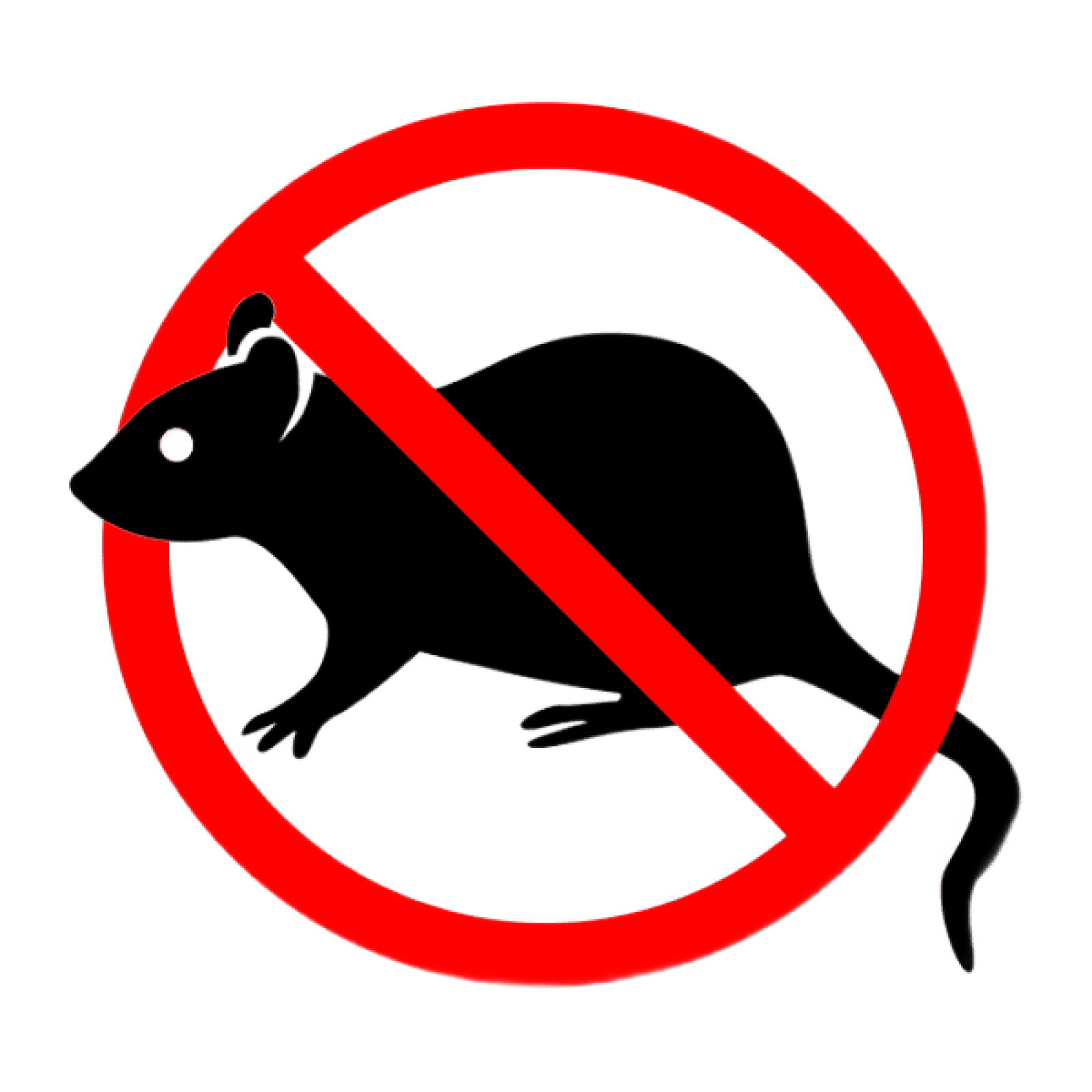 Уничтожение крыс и мышей в Санкт-Петербурге