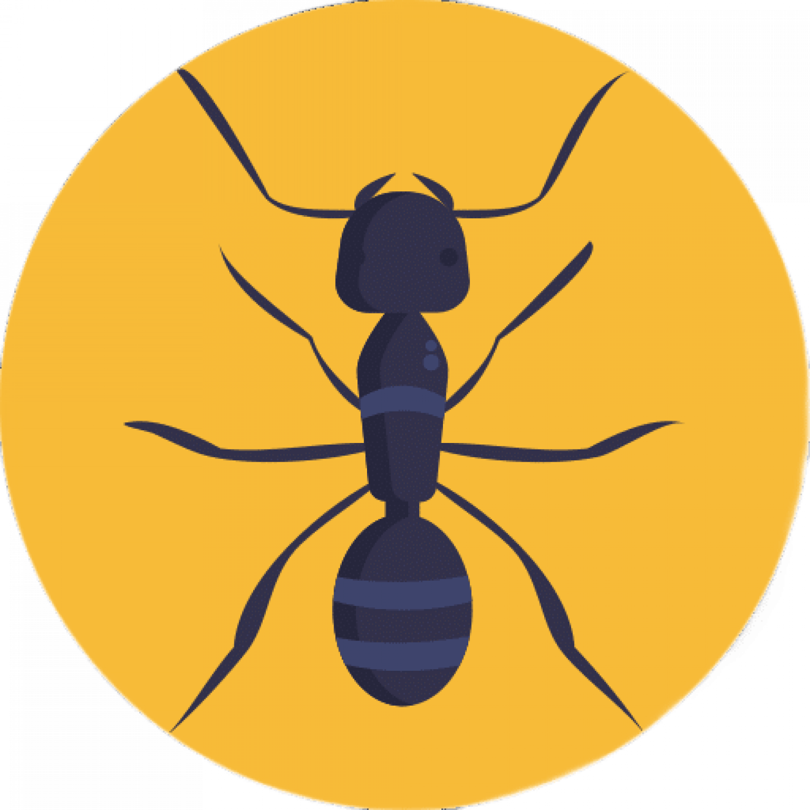 Уничтожение муравьев в Санкт-Петербурге