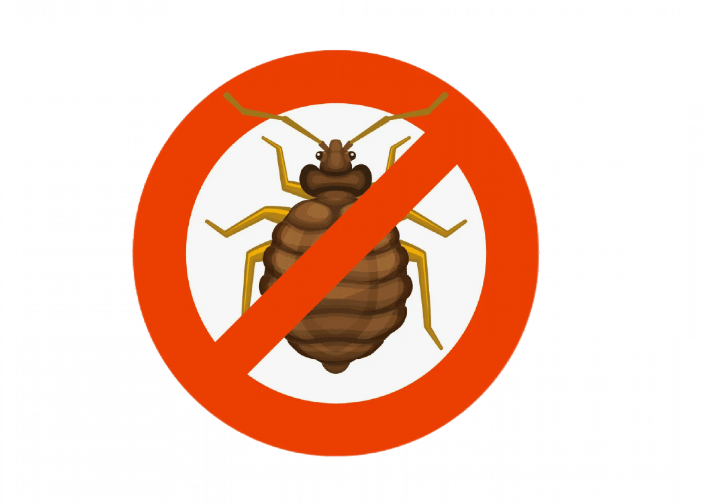 Уничтожение клопов в Москве