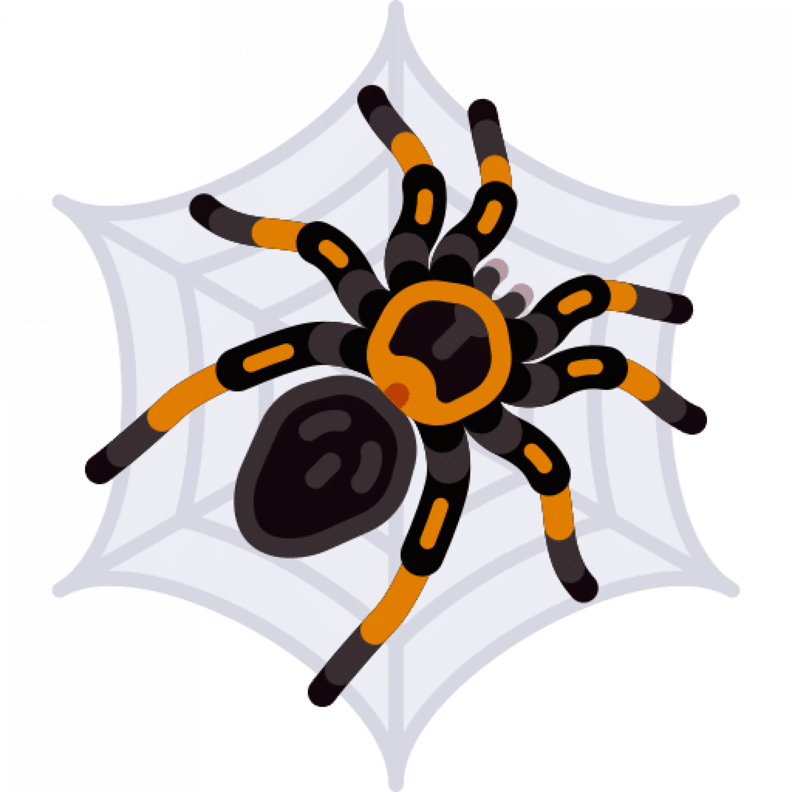 Уничтожение пауков в Санкт-Петербурге