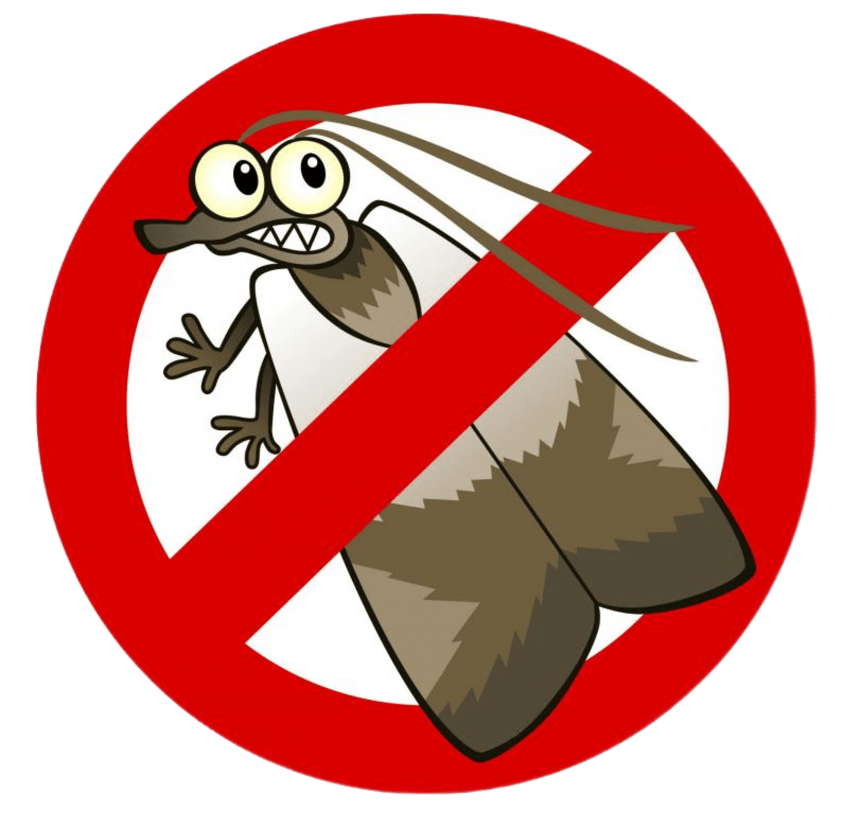 Уничтожение моли в Санкт-Петербурге