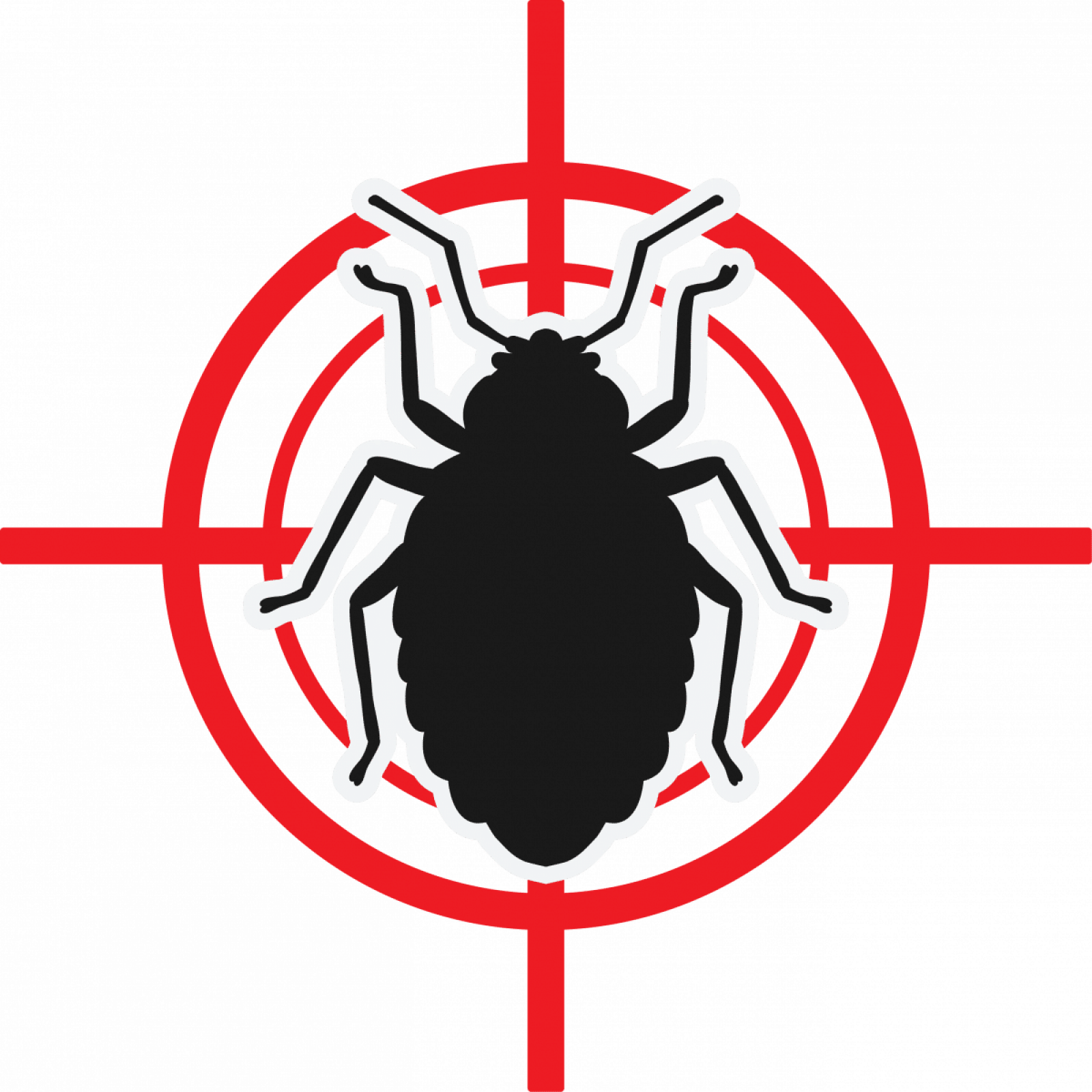 Уничтожение клопов в Санкт-Петербурге