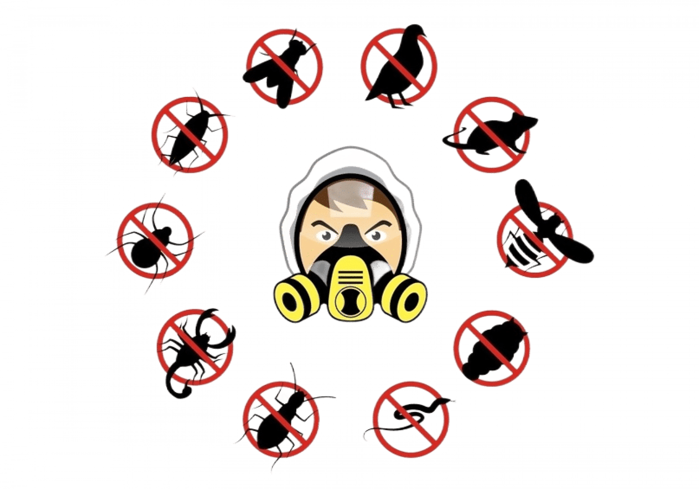 Дезинсекция в Санкт-Петербурге