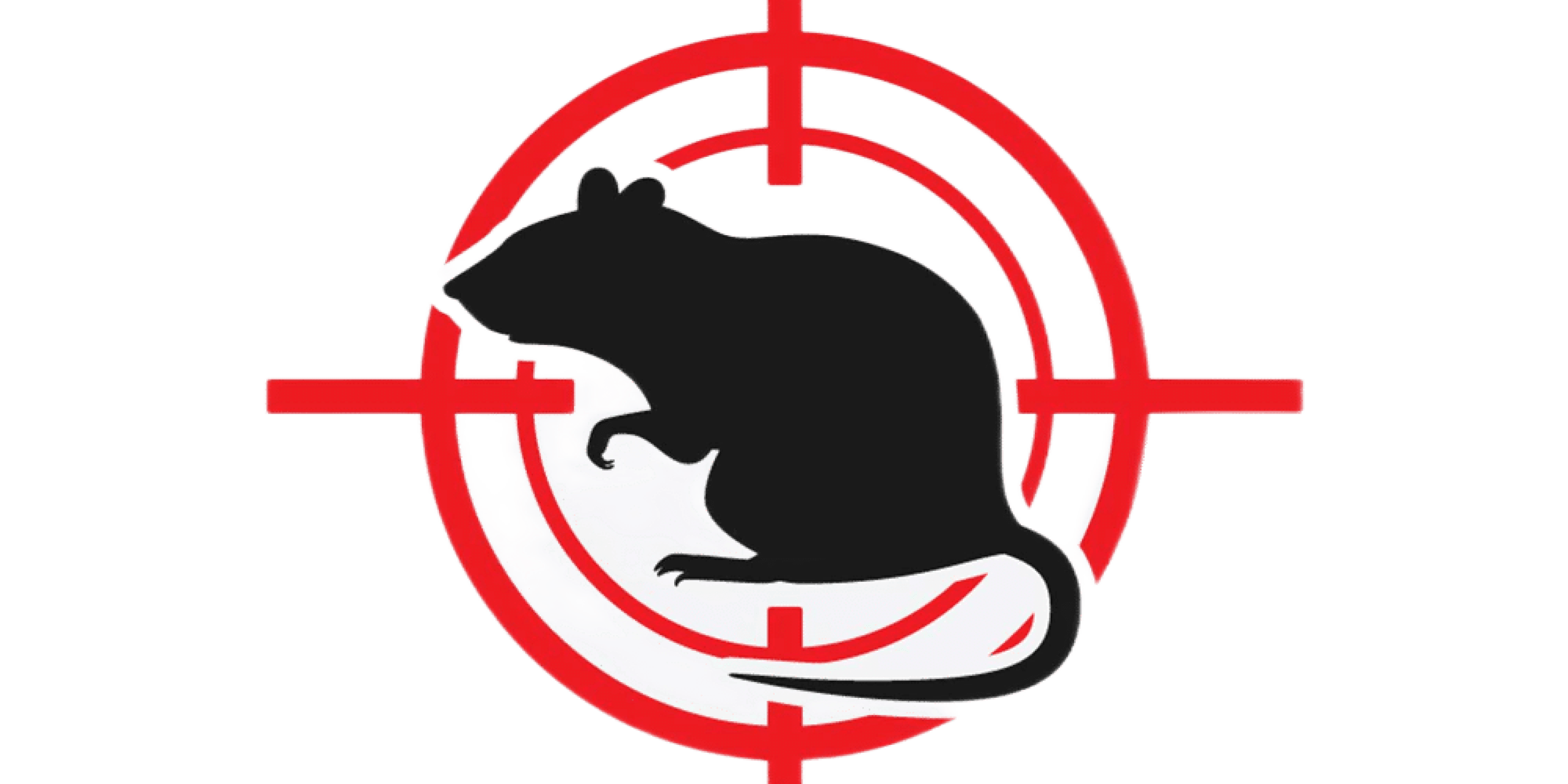 Дератизация в Санкт-Петербурге