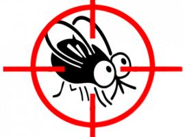 Услуга по уничтожению комаров в Санкт-Петербурге от DEZKLOPIK. Эффективные методы, безопасные сре...