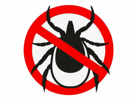 Уничтожение клещей в Санкт-Петербурге от DEZKLOPIK &ndash; надежно, быстро и безопасно. Получите ...