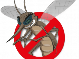 Профессиональное уничтожение комаров в Москве с гарантией результата. Безопасно и эффективно! Усп...