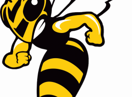 Уничтожение ос в Санкт-Петербурге от DEZKLOPIK &mdash; быстрое и надежное решение проблемы. Закаж...