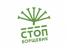 Эффективное уничтожение борщевика в Санкт-Петербурге от DEZKLOPIK. Профессионально, безопасно и с...