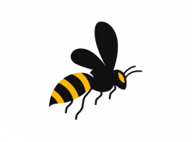 Профессиональное уничтожение ос в Москве от DEZKLOPIK. Эффективные методы и безопасность для вас ...