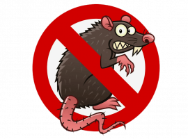 Профессиональное уничтожение крыс и мышей в Москве с гарантией результата. Закажите услуги DEZKLO...