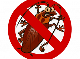 Эффективное уничтожение тараканов в Москве! Закажите услуги DEZKLOPIK и получите скидку 20% на пе...