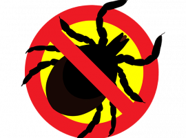 Профессиональная дезинсекция клещей в Москве от DEZKLOPIK. Высокая эффективность и безопасность. ...