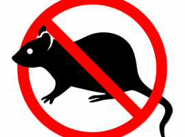 Уничтожение крыс и мышей в Санкт-Петербурге с гарантией результата. Профессиональные услуги от DE...