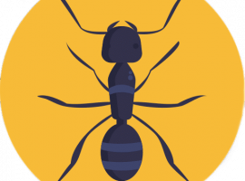 Профессиональная дезинсекция муравьев в Санкт-Петербурге от DEZKLOPIK. Забудьте о муравьях с наши...