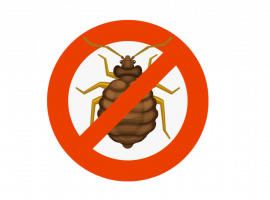 Уничтожение клопов в Москве - быстрая и эффективная дезинсекция. Закажите сейчас и получите скидк...