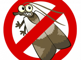 Устали от моли? Закажите профессиональное уничтожение моли в Санкт-Петербурге от бренда DEZKLOPIK...