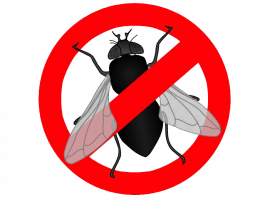 Профессиональная дезинсекция от мух в Москве с использованием безопасных и эффективных средств. Г...