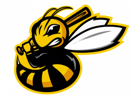 Профессиональная услуга по уничтожению пчел в Москве. Закажите сейчас и получите скидку 20%! Быст...