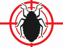 Профессиональное уничтожение клопов в Санкт-Петербурге. Надежно и безопасно! Закажите сегодня и п...