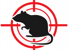 Дератизация в Санкт-Петербурге от DEZKLOPIK &mdash; эффективное и безопасное решение для устранен...