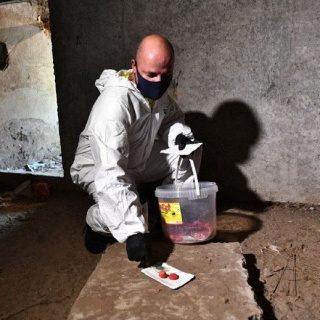 Дератизация - уничтожение крыс, уничтожение грызунов, уничтожение мышей