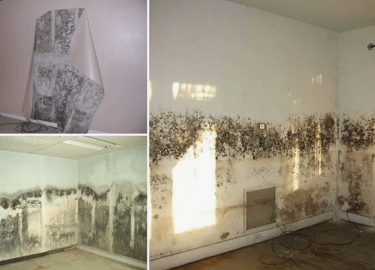 В данной статье мы подробно рассмотрим, как убрать плесень в метро Автово, какие методы существуют и как предотвратить ее повторное появление. Мы т...