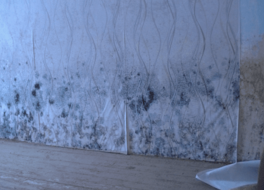 В данной статье мы рассмотрим эффективные методы борьбы с плесенью на стенах, а также дадим рекомендации по выбору средств для дезинфекции. Вы узна...