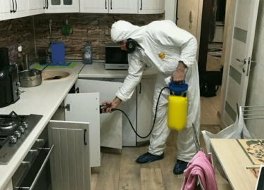 В данной статье мы подробно рассмотрим процесс уничтожения тараканов, предоставим полезные советы и рекомендации, а также расскажем о методах, кото...