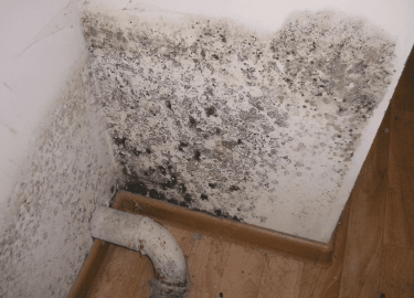 В данной статье мы рассмотрим эффективные методы удаления плесени со стен в квартире, а также дадим рекомендации по предотвращению её появления. Вы...