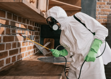 В данной статье мы рассмотрим эффективные методы борьбы с тараканами в квартире. Вы узнаете о причинах появления этих насекомых, а также о проверен...