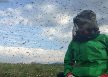 В данной статье мы рассмотрим проблему мошек в Москве и предложим эффективные решения для их уничтожения. Вы узнаете о наших услугах, методах борьб...