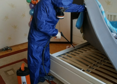 В данной статье мы рассмотрим основные аспекты, связанные с уничтожением клопов, а также предложим эффективные решения для борьбы с этой проблемой.
