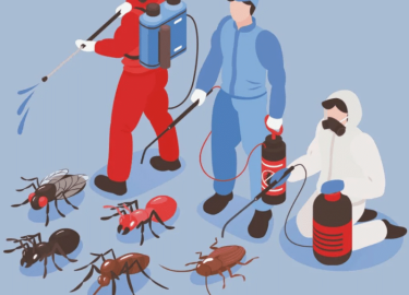 В этой статье мы рассмотрим основные проблемы, связанные с вредителями в отелях, а также предложим эффективные решения для их устранения. Мы также ...