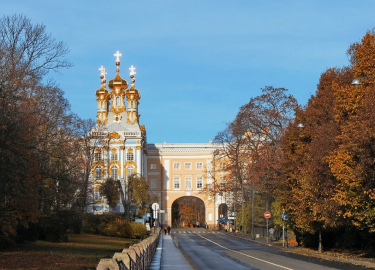 В этой статье мы рассмотрим основные проблемы, связанные с появлением клопов, а также предложим эффективные решения.
