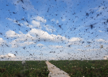 В данной статье мы рассмотрим проблему мошек в Москве и предложим эффективные решения для их уничтожения. Наша служба работает круглосуточно, предо...