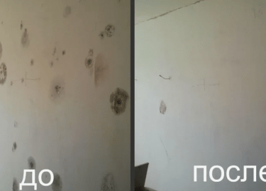 В данной статье мы рассмотрим, как курение в квартире может привести к образованию плесени, какие последствия это может иметь для здоровья и как с ...