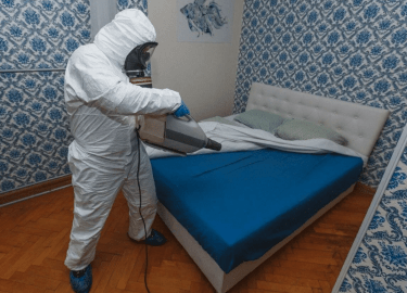 Клопы &mdash; это маленькие, но крайне неприятные соседи, которые могут испортить жизнь любому человеку. Их появление в доме часто становится насто...