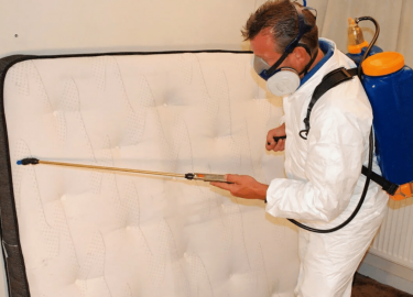 В этой статье мы расскажем о том, как эффективно решить проблему клопов в гостиницах, а также предложим уникальные решения и услуги, которые помогу...