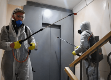 В данной статье мы рассмотрим, что включает в себя вызов дезинфектора в Новосибирске, какие услуги предоставляются, и как выбрать надежную компанию...