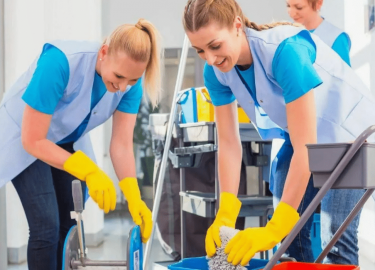 В данной статье мы рассмотрим важные аспекты химчистки мебели, включая услуги уборки и клининга, а также факторы, влияющие на стоимость. Вы узнаете...