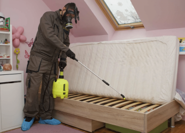 В этой статье мы рассмотрим эффективные методы борьбы с клопами, а также дадим полезные советы по профилактике их появления. Если Вы столкнулись с ...